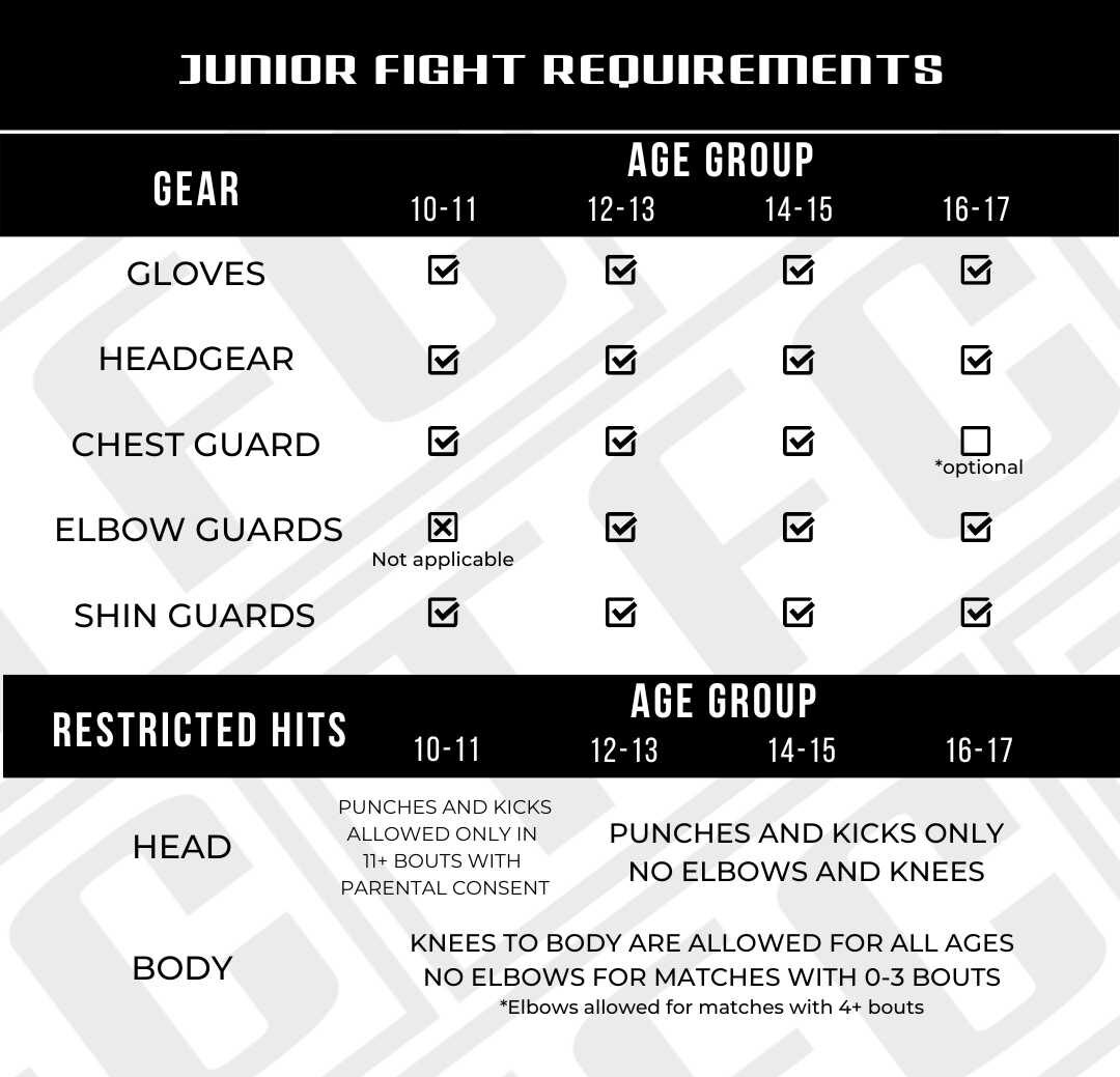 A table containing information on safety gear requirements and restricted strikes and targets for kids fight matches.